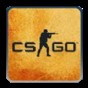 仿csgo手机版