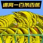 逃离恐怖香蕉游戏