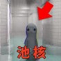 轻松养鱼水族馆
