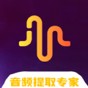 ins音频保存
