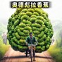一命通关游戏